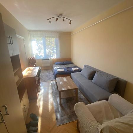Oeguenc'S Apartment سيغيد المظهر الخارجي الصورة