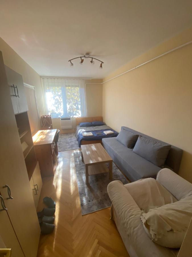 Oeguenc'S Apartment سيغيد المظهر الخارجي الصورة